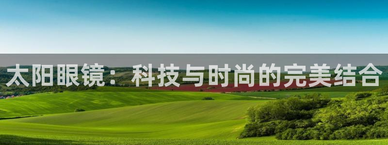 辉达平台官网电话