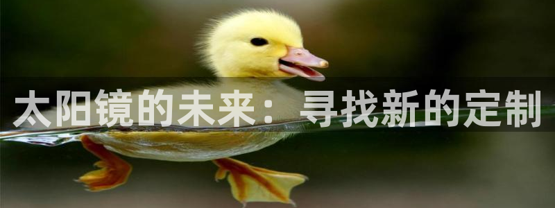 辉达娱乐体育竞猜