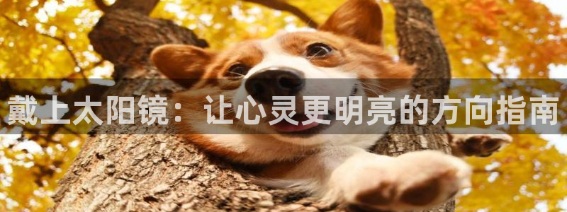 辉达娱乐时时彩平台