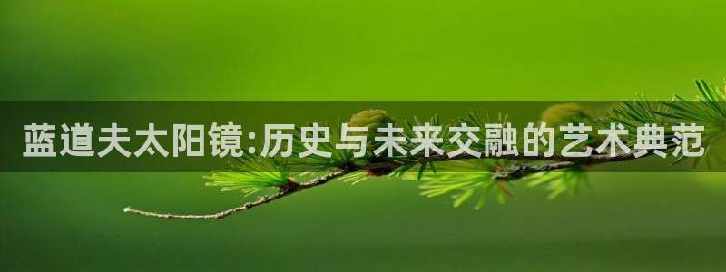 辉达娱乐app