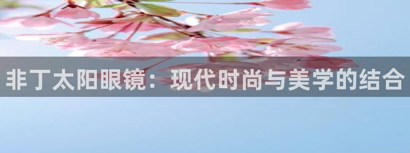 辉达平台娱乐怎么样