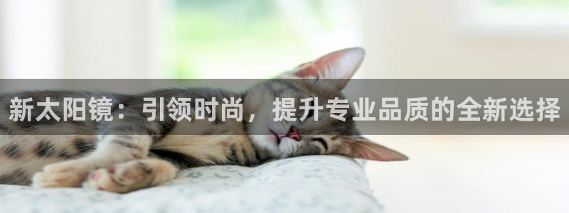 辉达娱乐网址
