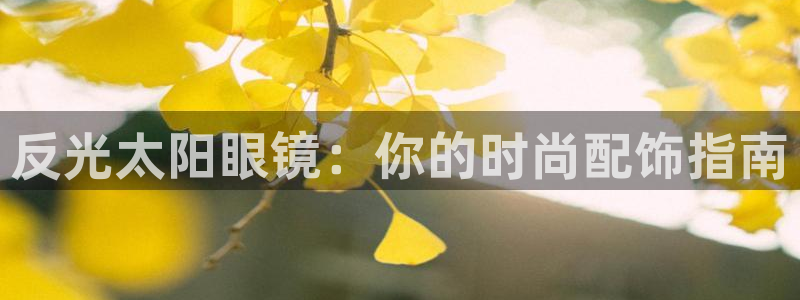 辉达娱乐公司