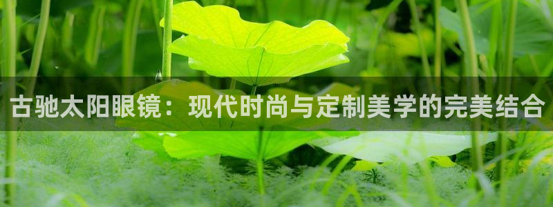 辉达娱乐app