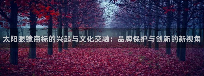 辉达娱乐最新版本更新内容