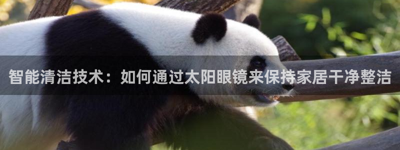 辉达娱乐计划软件
