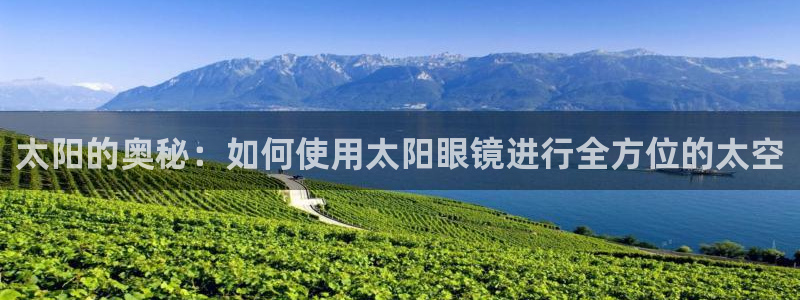辉达娱乐官方网址