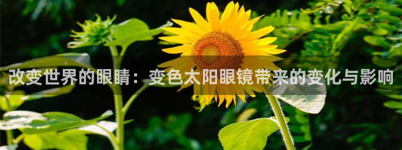 专业辉达娱乐在线游戏