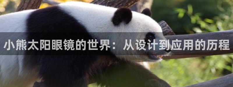 辉达娱乐最新消息新闻