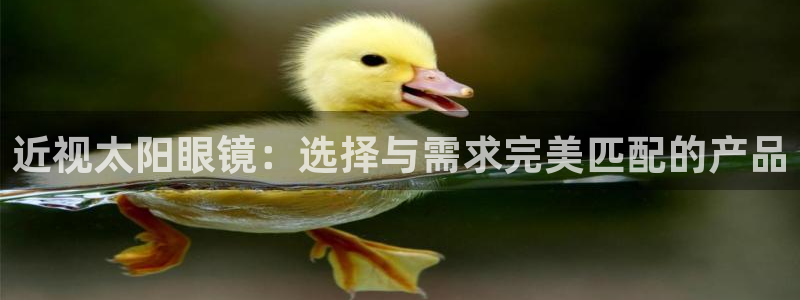 辉达平台官网首页