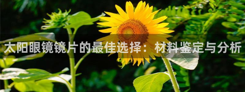 专业辉达娱乐官方网址