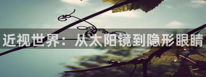 辉达娱乐丿39444