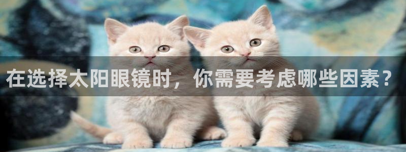 辉达娱乐电子