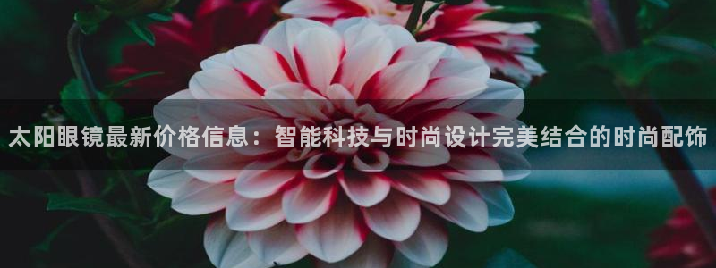 辉达娱乐123123