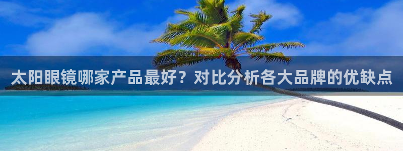 辉达娱乐公司
