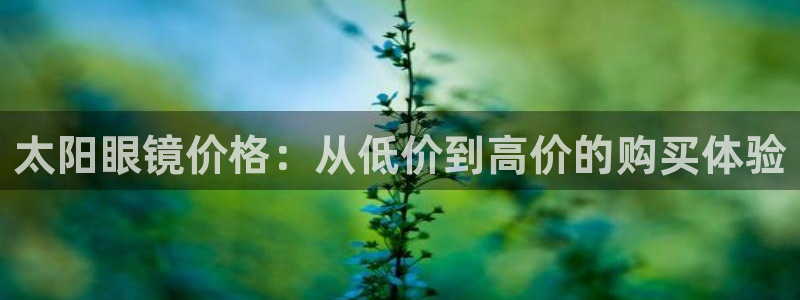 辉达娱乐最新版本更新内容