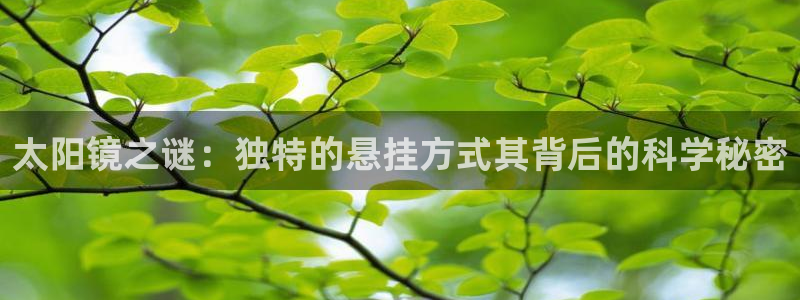 信誉辉达娱乐在线游戏