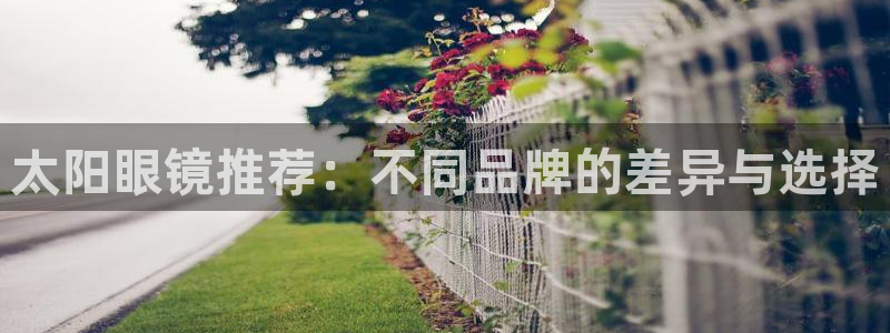 辉达娱乐下载