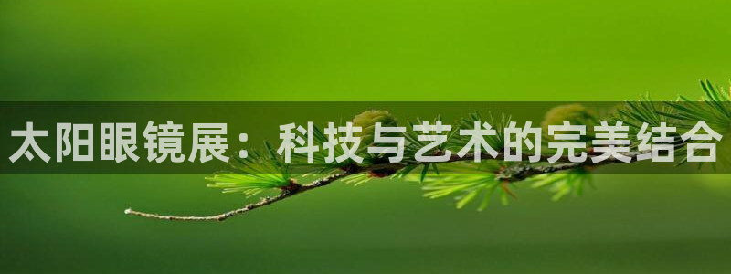 辉达娱乐最新版本更新内容