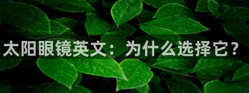 辉达娱乐丿75505