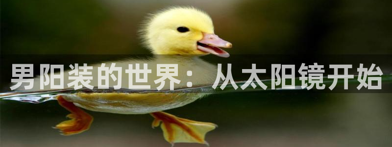 辉达娱乐五75505