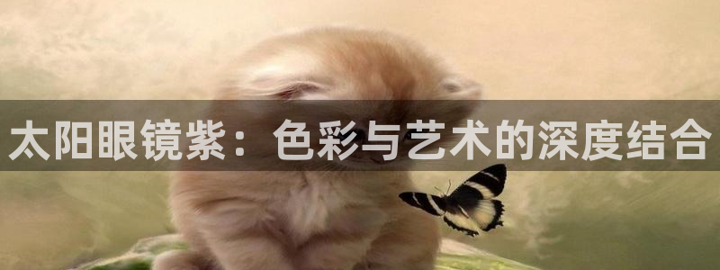 辉达娱乐计划软件