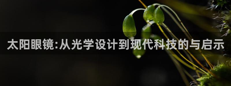 菲律宾辉达娱乐