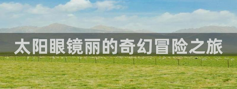 辉达娱乐丶75505