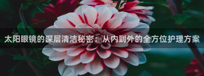 辉达娱乐官网