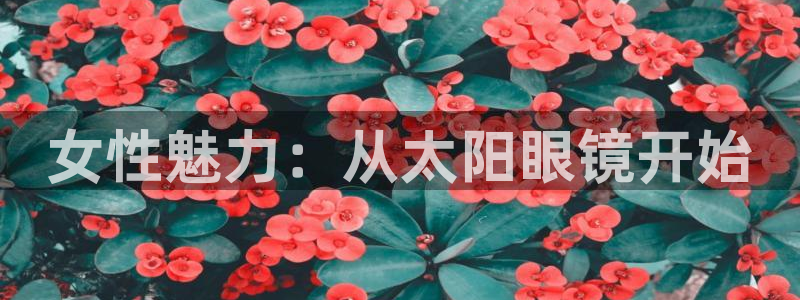 辉达娱乐排列三