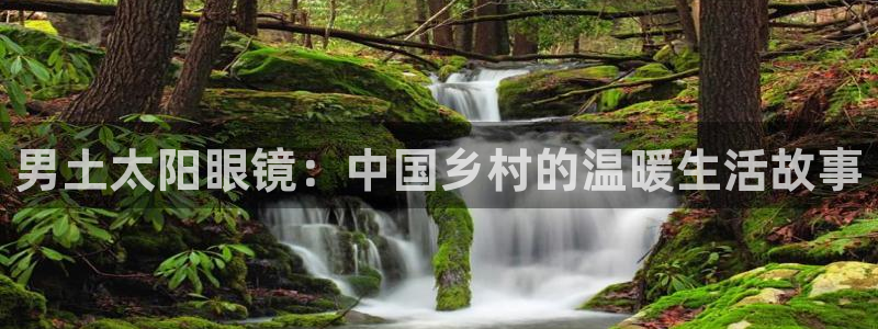 辉达怎么样