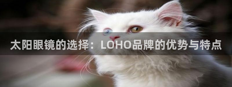 辉达娱乐衤39444