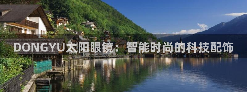 辉达平台官网下载