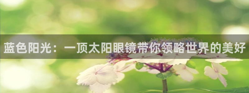辉达娱乐网址