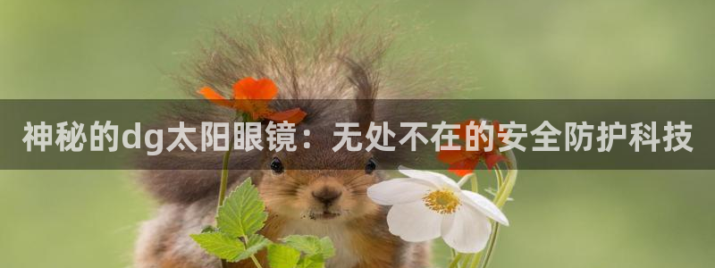 辉达娱乐最新消息新闻