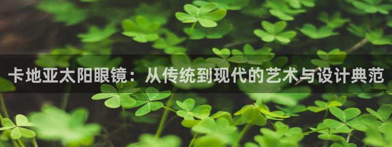 辉达怎么样