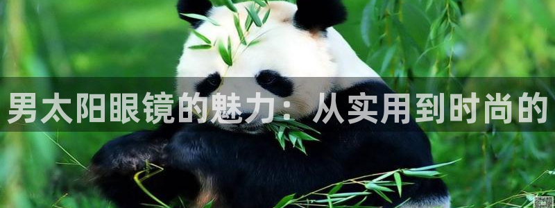 辉达娱乐加扣75775