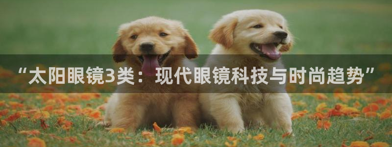 辉达娱乐最新消息新闻