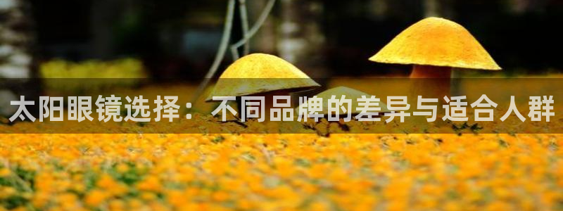 辉达娱乐属于什么档次