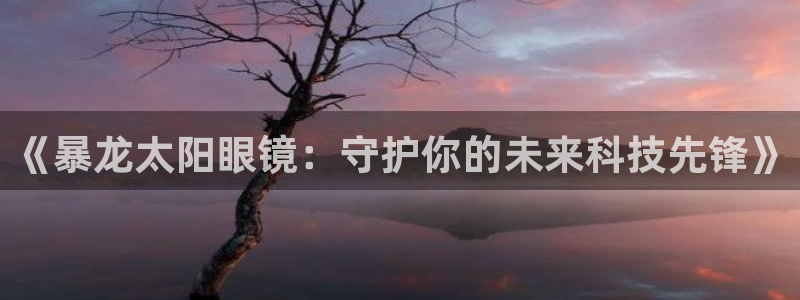 辉达平台官网首页