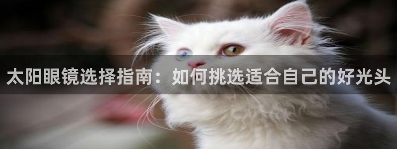 辉达娱乐珈75775