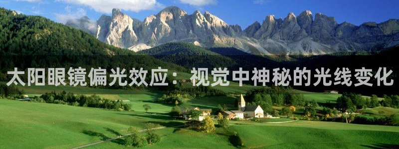 辉达集团官方网站