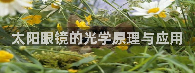 正规辉达娱乐官方网址