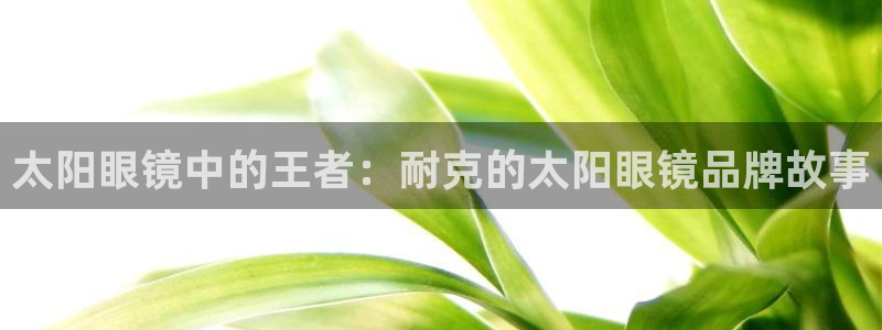 辉达娱乐最新消息新闻