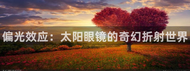 辉达娱乐五75505