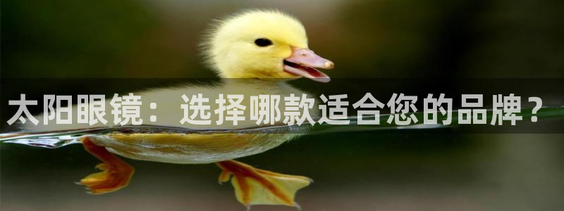 辉达娱乐排列三