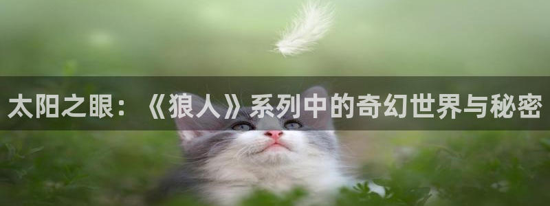 辉达娱乐时时彩平台