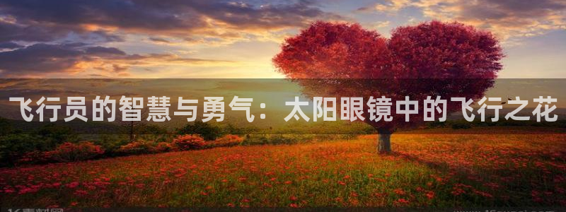 辉达娱乐排列三