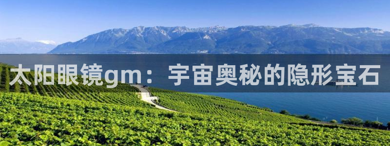 辉达平台官网网站