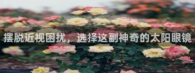 辉达娱乐电子游艺